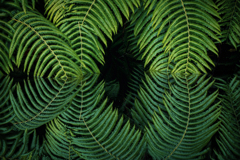 弥生の森リターンズ