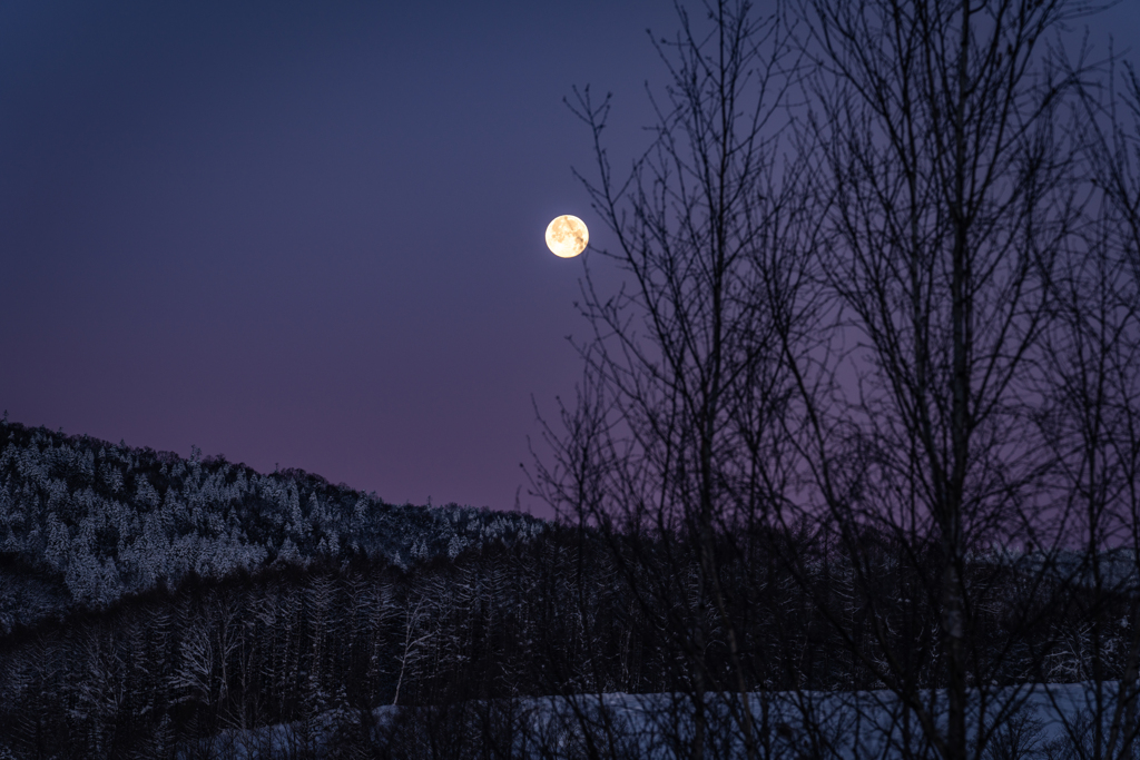 月が沈む前に