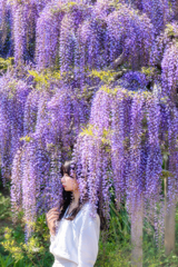 あしかがフラワーパーク4