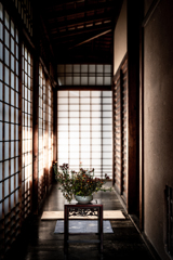 初秋の雲龍院3