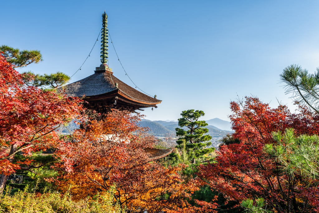秋の常寂光寺2