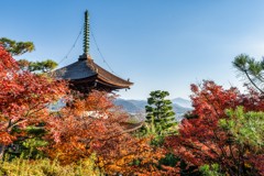 秋の常寂光寺2