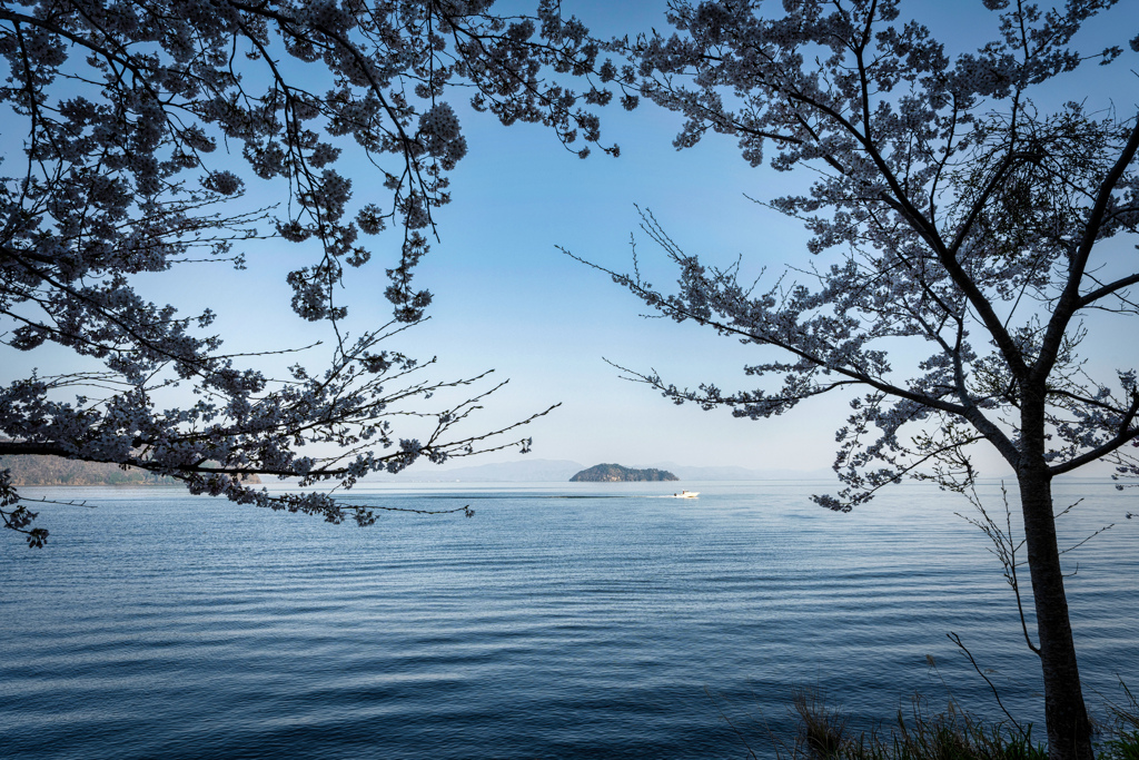海津大崎
