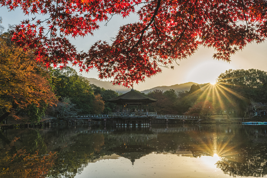朝の浮見堂2