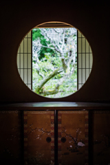 雲龍院初秋2