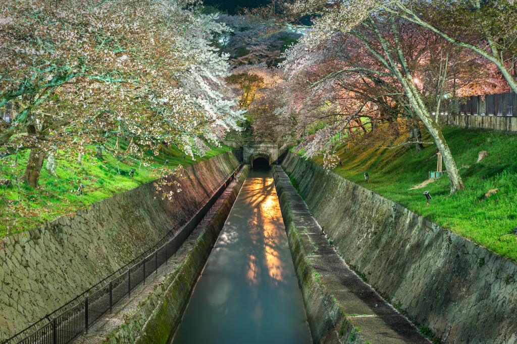 琵琶湖疎水