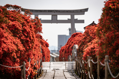 長岡天満宮1