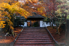 秋の安楽寺2
