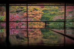 秋の瑠璃光院1