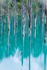 青い池4