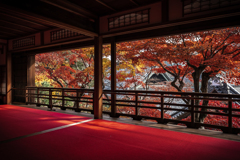 秋の楊谷寺