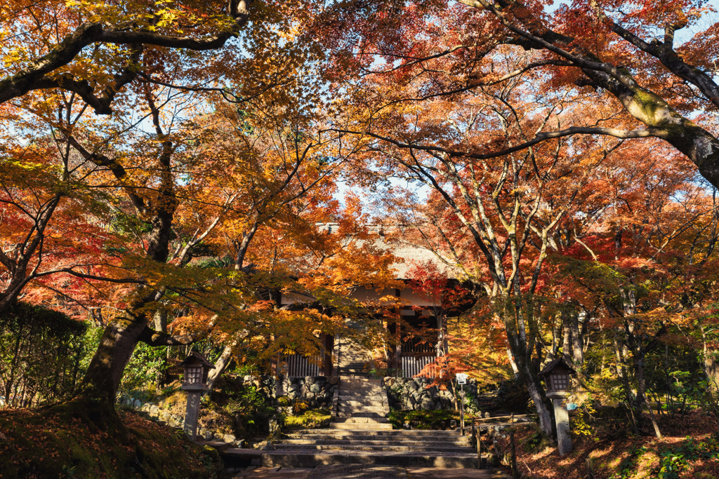 秋の常寂光寺1