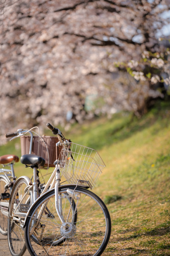 自転車4