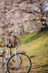 自転車4