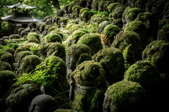 愛宕念仏寺1