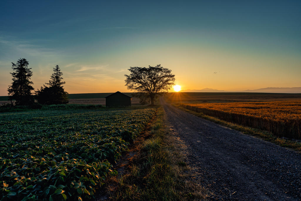 そして陽が昇る