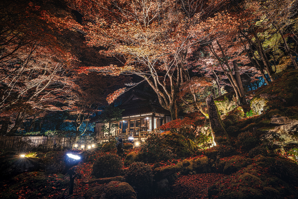 夜の教林坊1