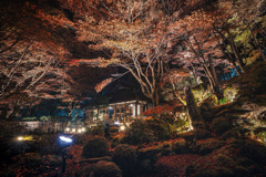 夜の教林坊1