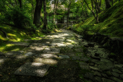常寂光寺2