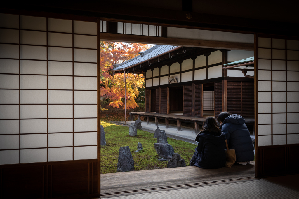 晩秋の光明院2