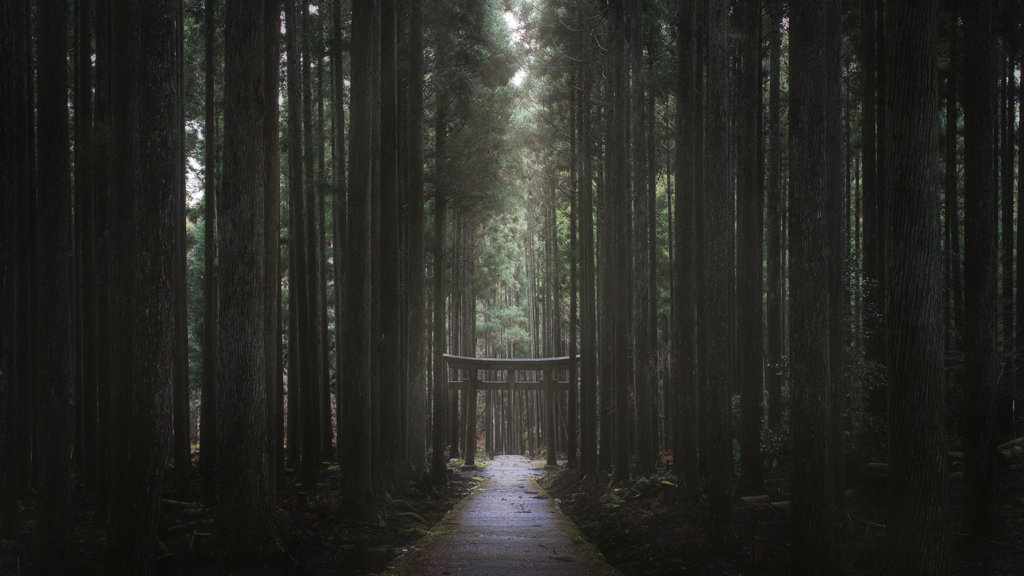 加茂神社