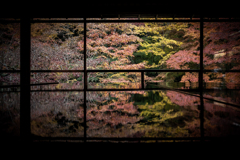 晩秋の瑠璃光院1