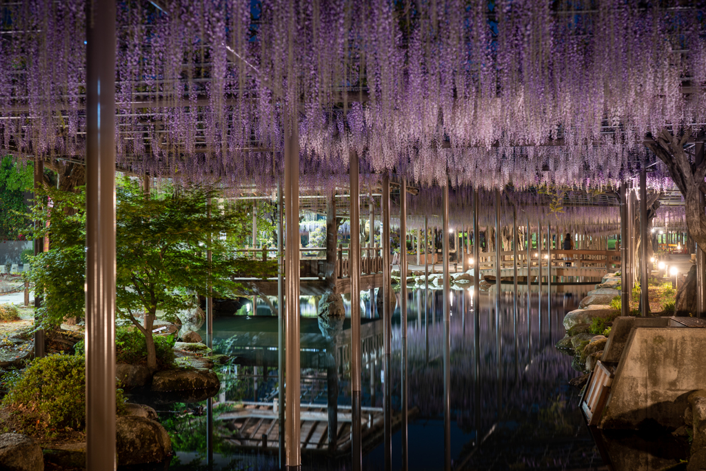 天王川公園3