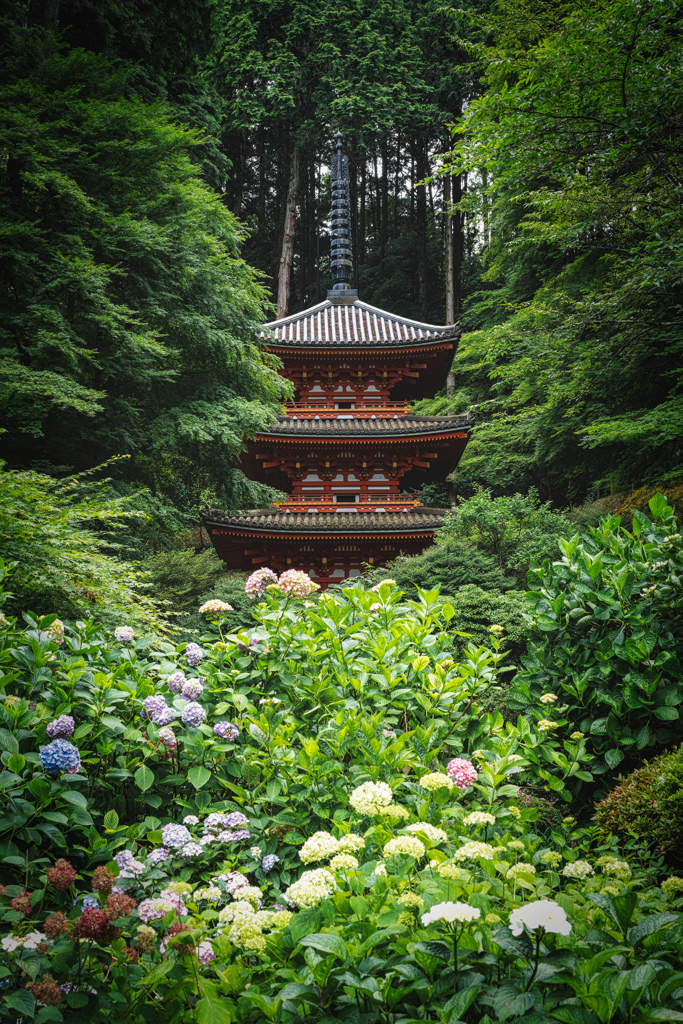 岩船寺1