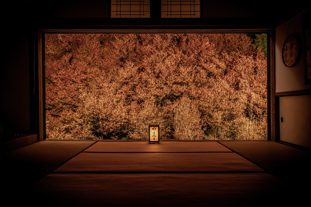 但馬安国寺2