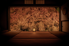 但馬安国寺2