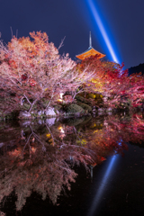 夜の清水寺2