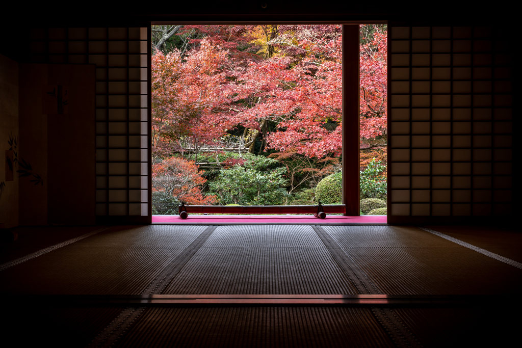 秋の金剛輪寺2