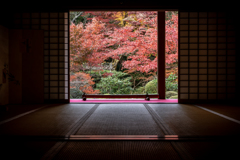 秋の金剛輪寺2