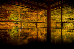夜の瑠璃光院