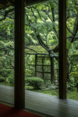 緑の桂春院