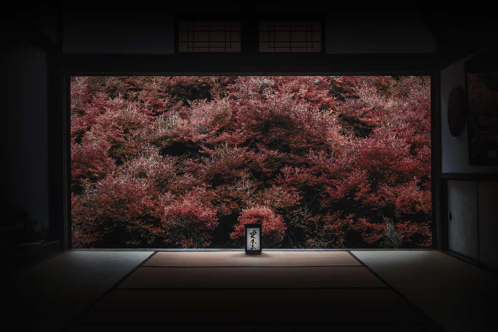 但馬安國寺1
