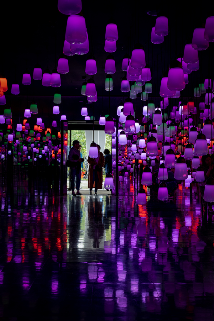 御船山楽園に行こう