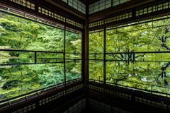 春の瑠璃光院1