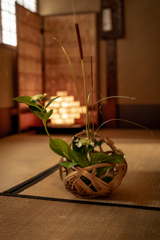 今西家書院にて2