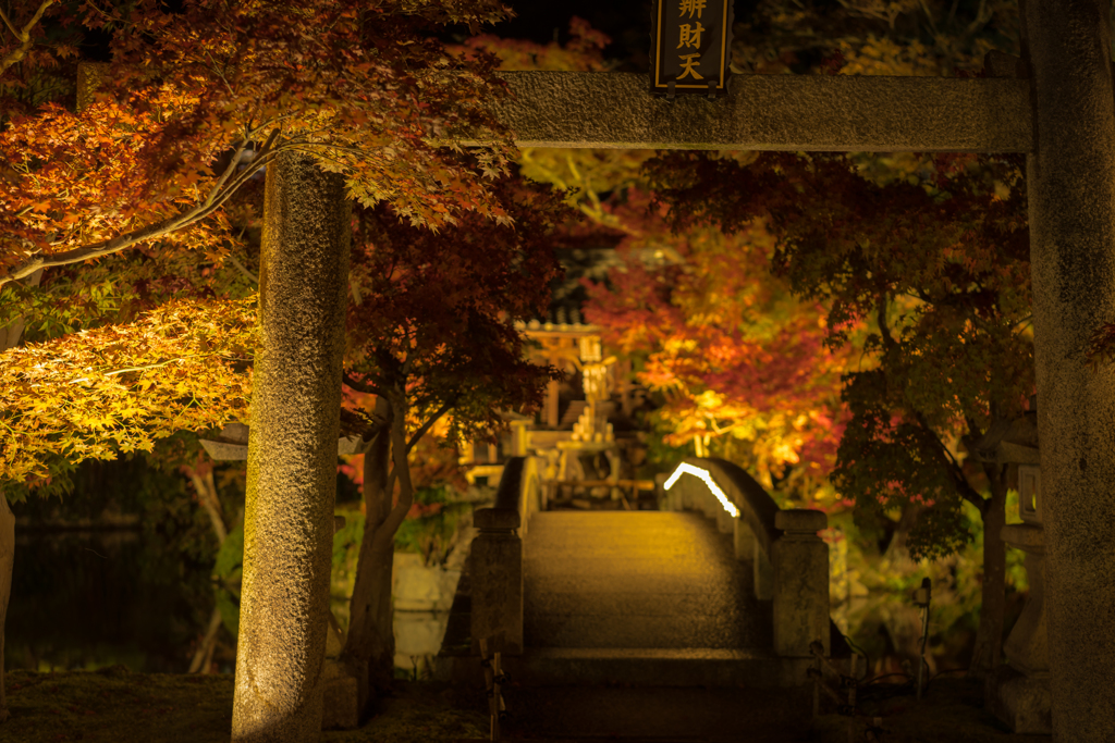 夜の永観堂3