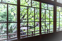 春の永観堂