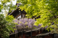 長岡天満宮4