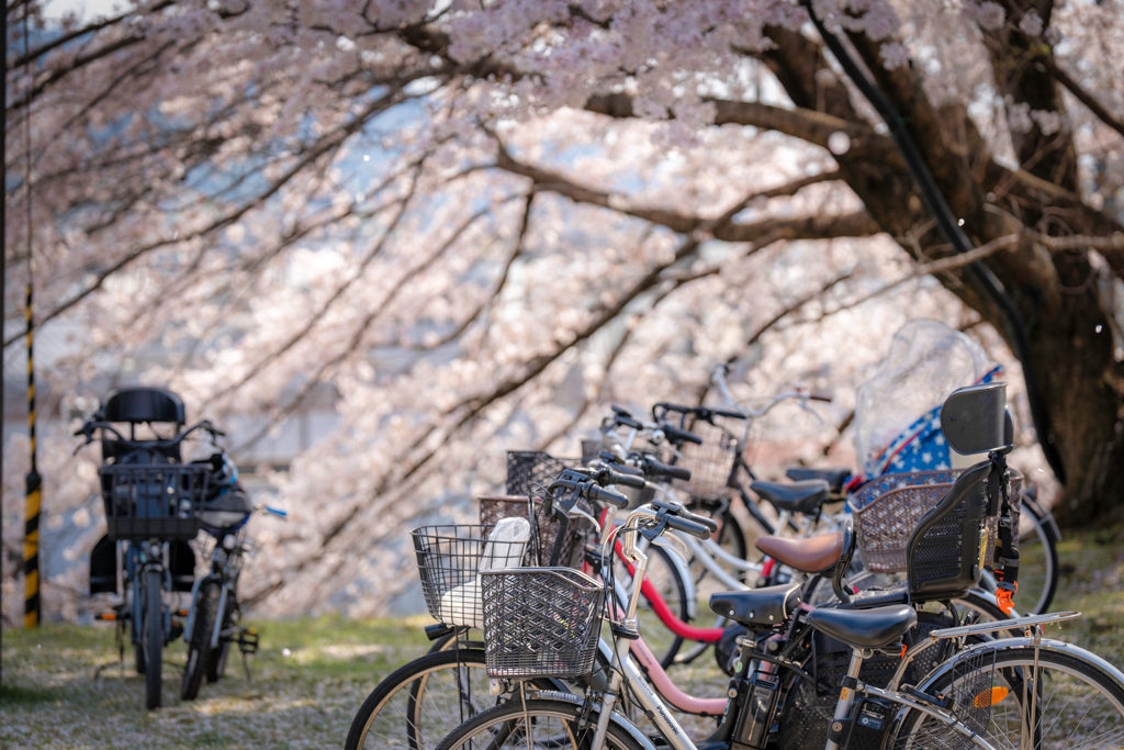 自転車2