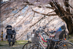 自転車2