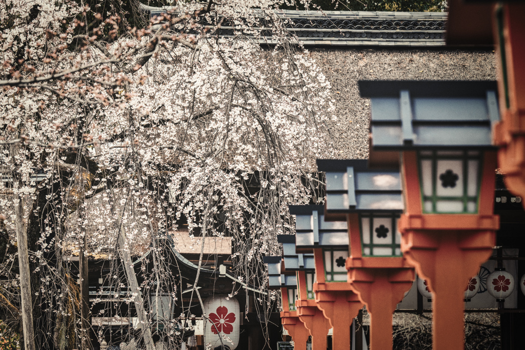 平野神社