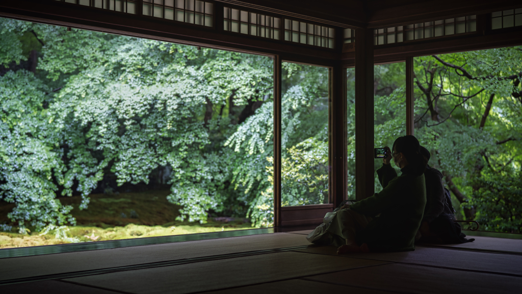 雨の瑠璃光院5