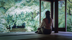 雨の瑠璃光院6