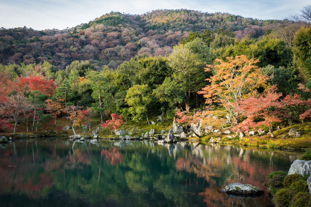 秋の天龍寺1