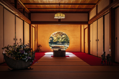 秋の明月院