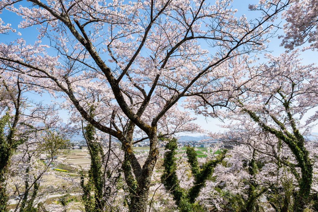虎御門山2